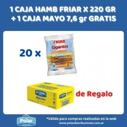 1 CAJA HAMB FRIAR X 220 GR...