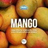 Mango en Cubos caja x 13,6 kg